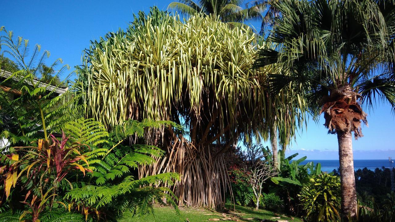 Villa Bo Teahupoo Exterior foto